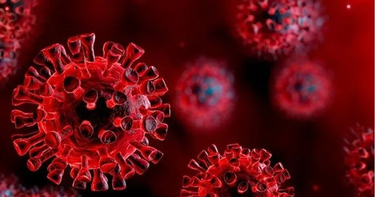 Son Dakika 21 Haziran koronavirüs tablosu duyuruldu! 21 Haziran korona tablosu ile bugünkü Türkiye güncel vaka sayısı - vefat sayısı verileri