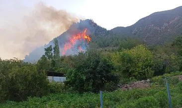 Mersin, Muğla, Osmaniye ve Hatay'da orman yangınlarına karşı amansız mücadele sürüyor: Birçok köy ve mahalle boşaltıldı #hatay