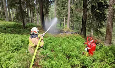 Avusturya’da uçak ormana çakıldı: 4 ölü