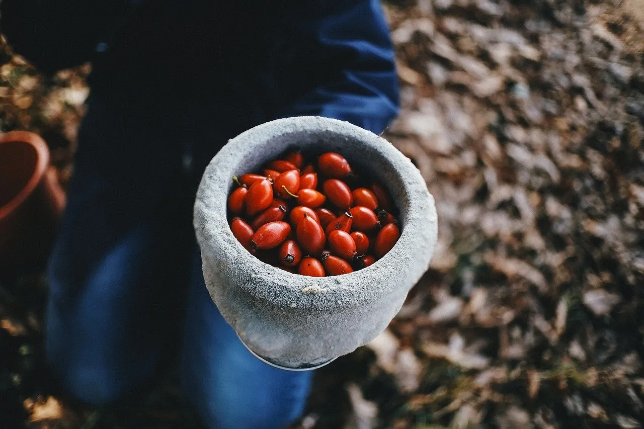 Tek bir bardağı C vitamini depolarını dolduruyor! Hastalıkları bitiren o bitki...