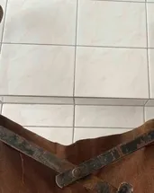 Çöpten tarih çıktı... Dünyada sadece 2 tane var, biri artık Çanakkale’de!
