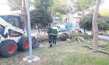 Kentin simgeleri birer birer kesildi