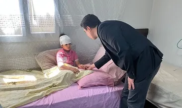 Sahipsiz köpekler çocuğa saldırdı