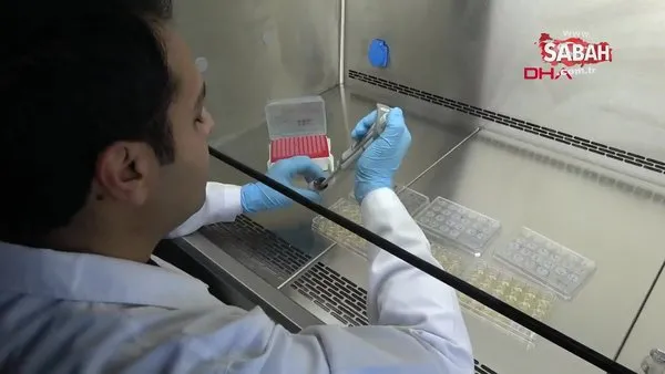 Mersin Üniversitesi'nde Multiple Skleroz (MS) hastalığını engelleyecek ilaç üretildi | Video