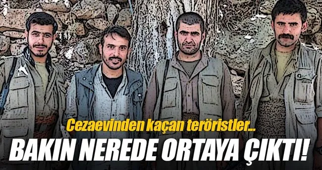 Diyarbakır Cezaevi’nden kaçan 4 PKK’lı Kandil’de ortaya çıktı