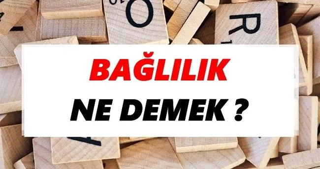 Bağlılık Ne Demek? TDK’ya Göre Bağlılık Sözlük Anlamı Nedir?