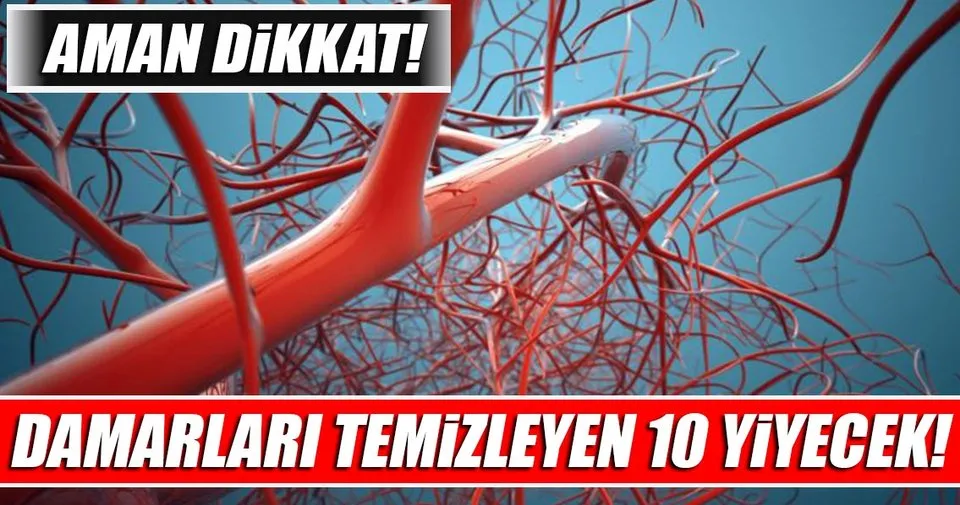 Damarlari Temizleyen 10 Yiyecek Saglik Haberleri