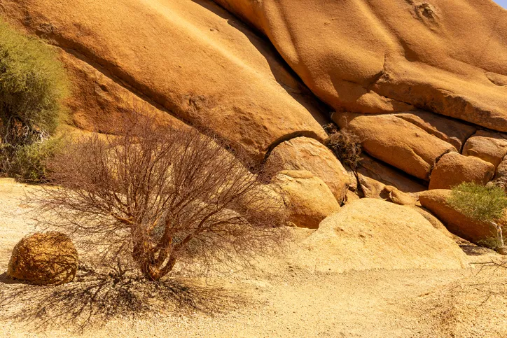 Milyonlarca yıldır saklı kalan gizem: Dünya’da daha önce görülmemiş yaşam formunun izleri bulundu!