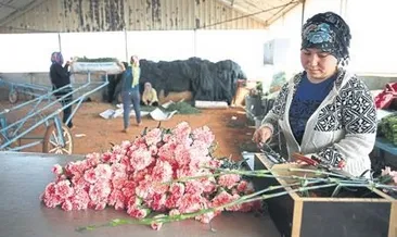 Çiçek gibi ihracat