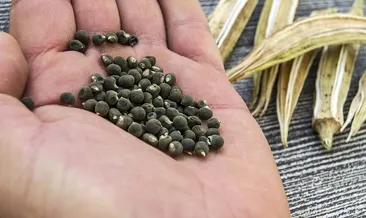 Bu gıda halsizliği anında alıyor!