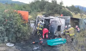 TIR kaza yaptı anguslar kaçtı