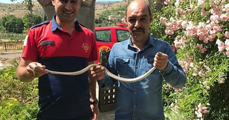 Mardin’de eve giren 1,5 metrelik yılan korkuttu