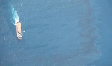 100 kilometrelik alana yayıldı