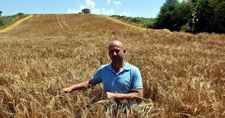 Edirne’de verimi yüzde 30 artan arpa çiftçinin yüzünü güldürdü