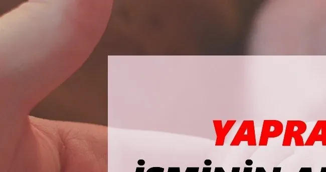 Yaprak İsminin Anlamı Nedir? Yaprak Ne Demek - Kuran’da Geçiyor Mu?