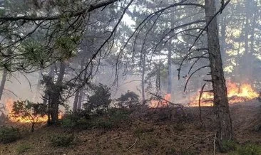 Eskişehir’de yıldırım isabet eden ormanda yangın çıktı
