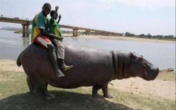 Afrika'dan ilginç kareler!