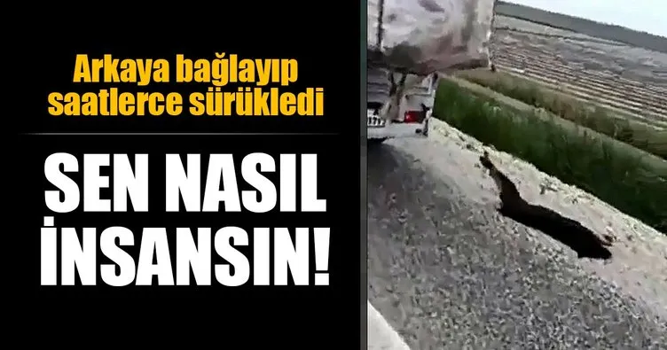 Son Dakika: Adana’da vahşet! Köpeği motosikletin arkasına bağlayıp sürükledi