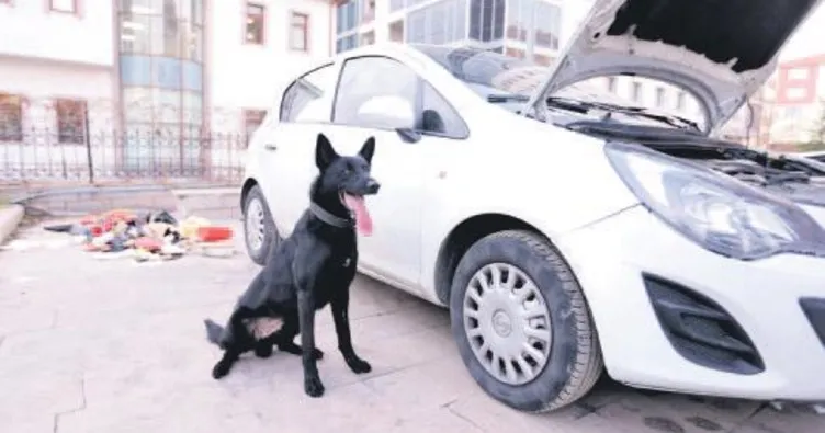 Keçiören’de firari operasyonu