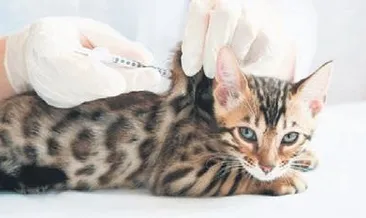 Koronaya karşı iki yeni öneri