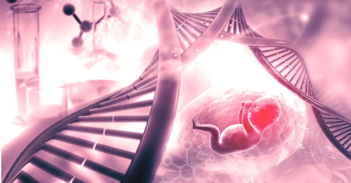 hamilelikte cati muayenesi nedir nasil