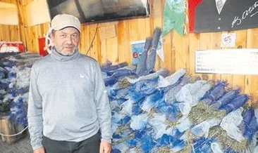 Hollanda’ya 43 bin demet lavanta gitti