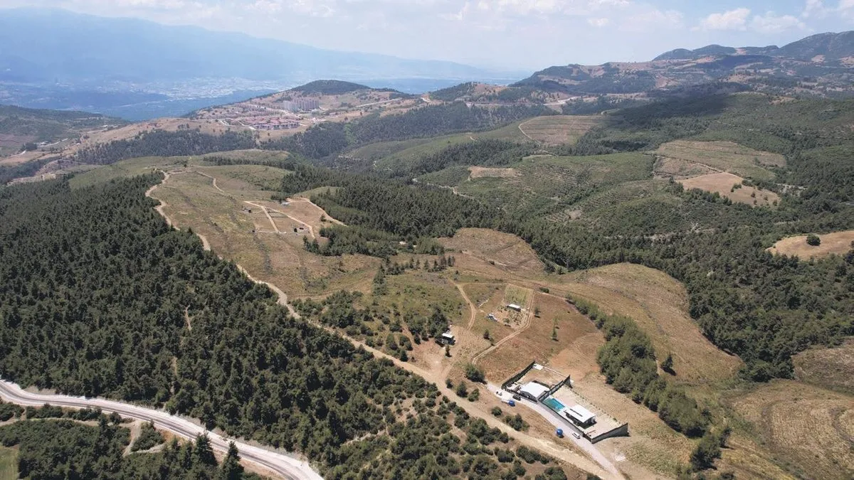 Yüzlerce ağaç kesildi yürek dayanmadı