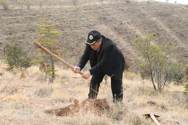Çorak arazileri ormana dönüştürüyor: Bu benim için hobi değil yaşam tarzı
