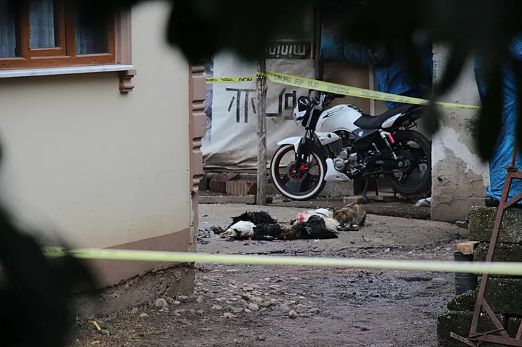 Annesine sinirlendi: Cinnet getiren oğul, eline aldığı tüfekle dehşet saçtı!