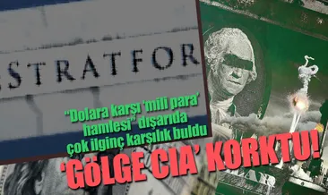 Gölge CIA Stratfor korkmaya başladı