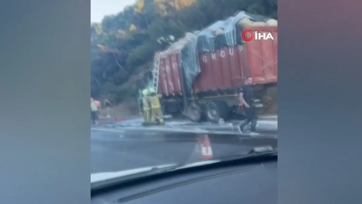 Talaş yüklü tır alevlere teslim oldu