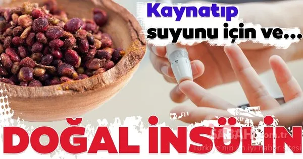 Bu besin doğal insülin gibi... İşte kan şekerine iyi gelen mucizevi besinler...
