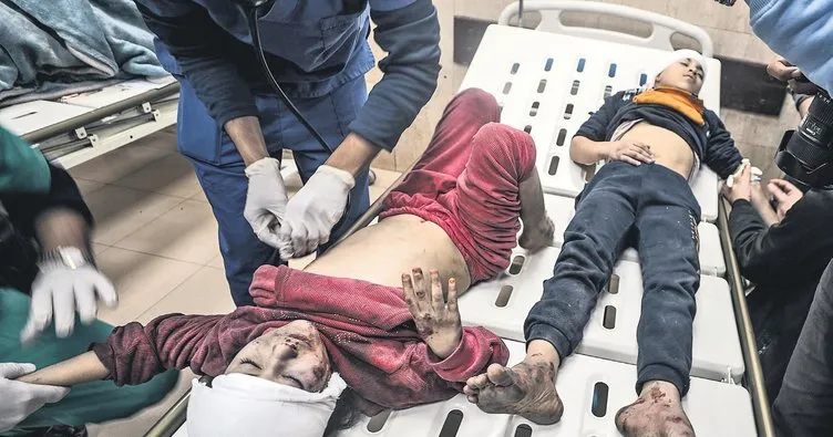 Neredesin insanlık