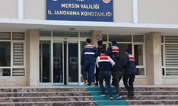 MİT ve Jandarma operasyonunda 2 PKK’lı yakalandı