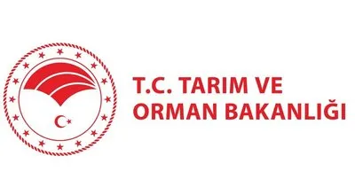 Tarım ve Orman Bakanlığı 8500 personel alımı ne zaman? Mühendis, Orman yangın işçisi... 8500 personel alımı yapılacak!