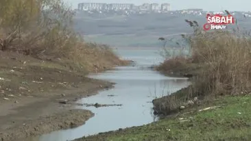 Çatalca'daki Muratbey deresinin rengi kimyasal atıklardan dolayı maviye döndü | Video