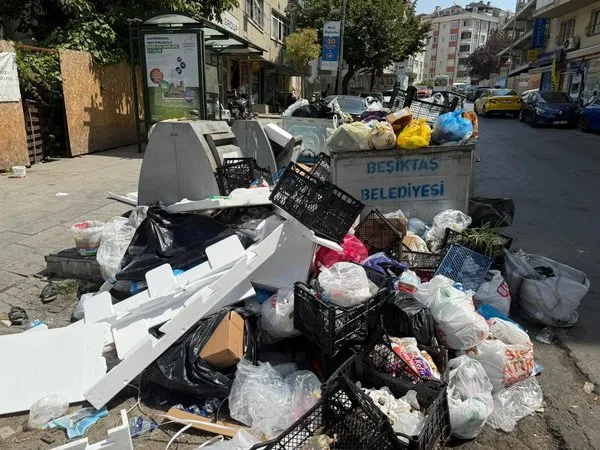 Beşiktaş Çöp Dağları