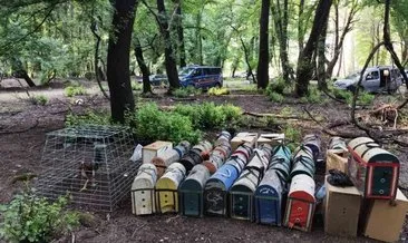 Köyceğiz’de Hayvanları koruma derneği başkanı horoz dövüştürürken yakalandı #mugla