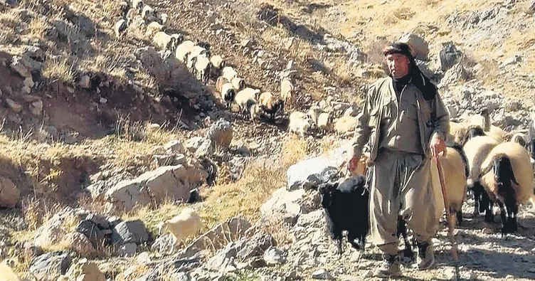 Andok Dağı’nda barış rüzgârları esiyor