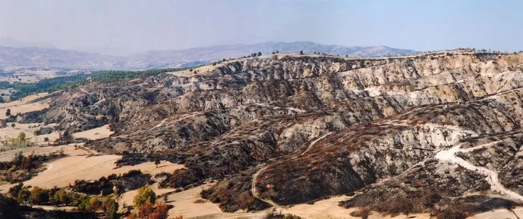 OGM paylaştı: Yanan ormanlar küllerinden doğdu! İşte eski ve yeni halleri