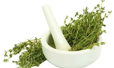 Kekik yağının faydaları nelerdir? Baharat, kekik çayı ve yağı olarak tüketilen kekiğin faydaları