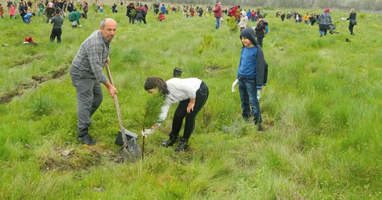 Küçük eller fidan diker