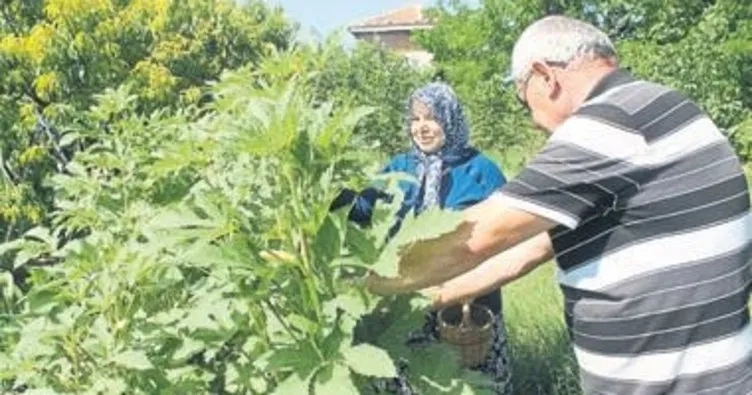 Emekliliğin keyfi Ege’de sürülüyor