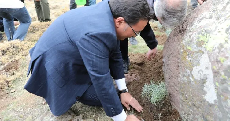 Erciyes’e 5 bin lavanta dikildi