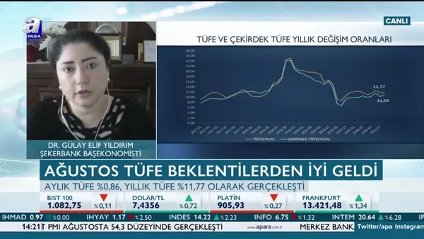 Şekerbank Başekonomisti Dr. Elif Gülay Yıldırım: TL bir noktaya oturdu