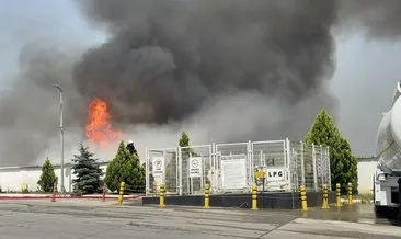 Kocaeli’de palet fabrikasında yangın! Hemen yanında benzin istasyonu var