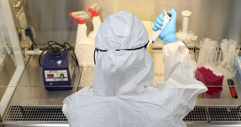 Lamalardan alınan iki antikor laboratuvar ortamında Kovid ...