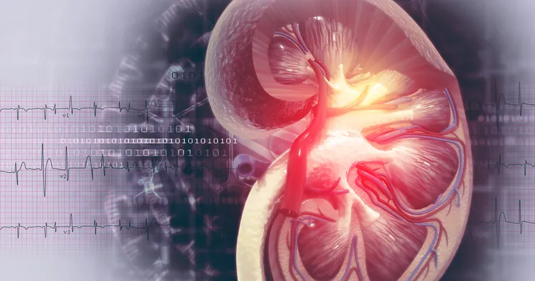 Tek böbrek ağır spor için engel mi?