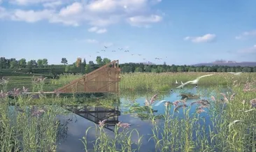 Yeşil AKS 5 bölümden oluşacak