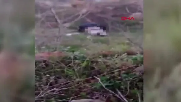 SON DAKİKA: Antalya'da iğrenç olay! Köpeğe tecavüz eden sapığa müdahale kamerada... | Video